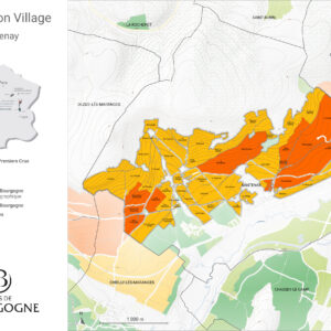 Santenay blanc Vieilles Vignes 2024